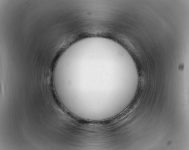 X0000102350458200808010939