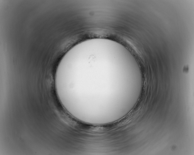 X0000102350459200808010939