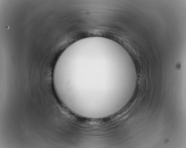 X0000102350466200808010940