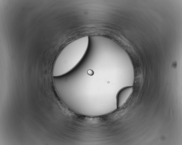 X0000102350469200808010940