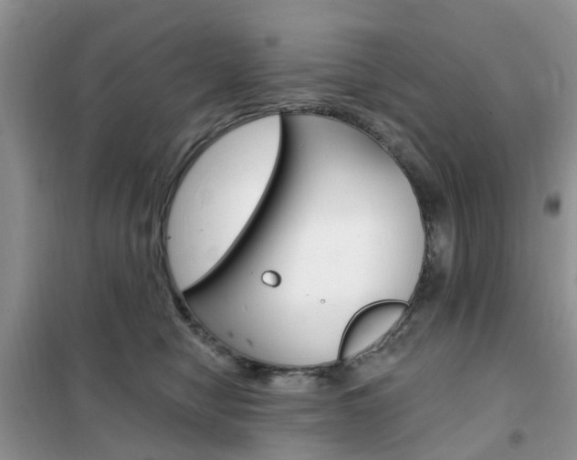 X0000102350470200808010940