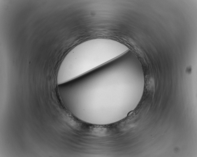 X0000102350471200808010940