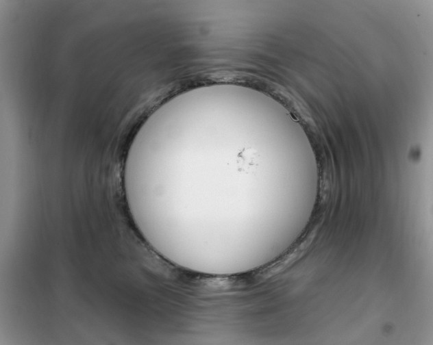X0000102350473200808010940