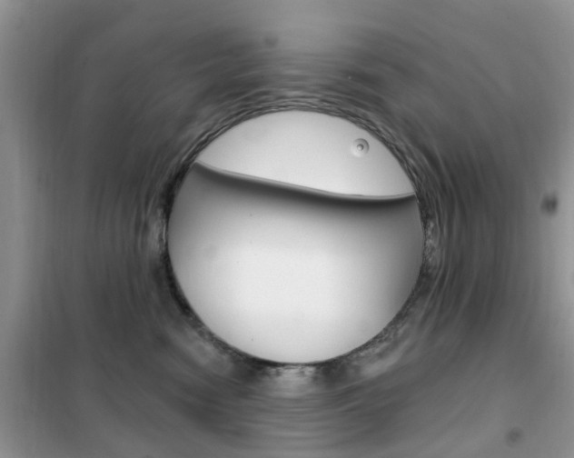 X0000102350474200808010940