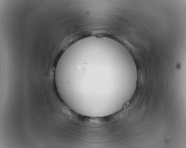 X0000102350475200808010940
