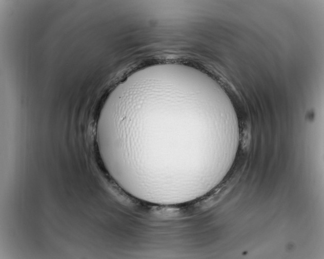 X0000102350476200808010940