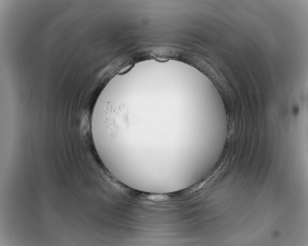X0000102350478200808010940