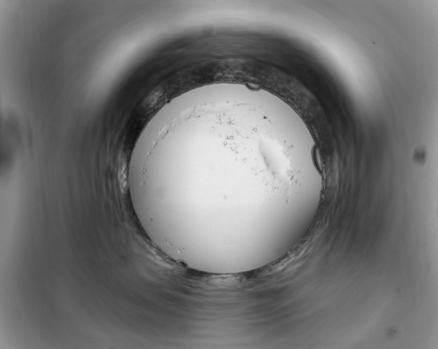 X0000102350479200808010940