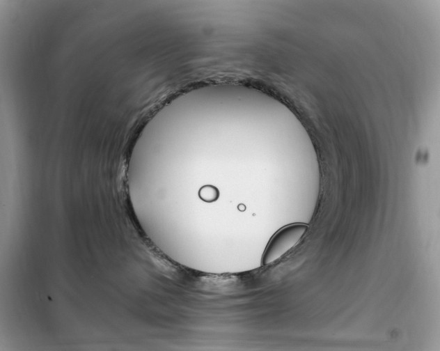 X0000102350480200808010940