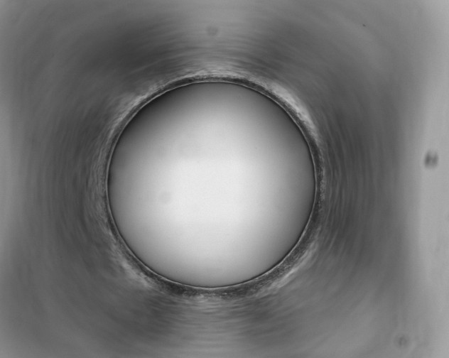 X0000102350481200808010939