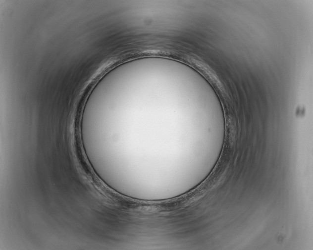 X0000102350482200808010939