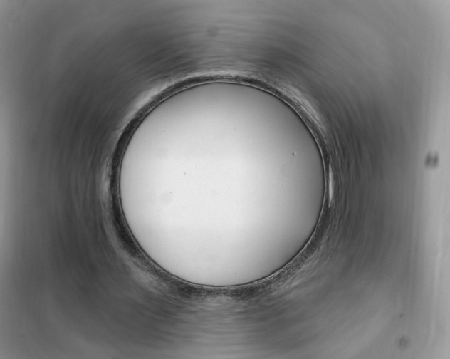 X0000102350483200808010939
