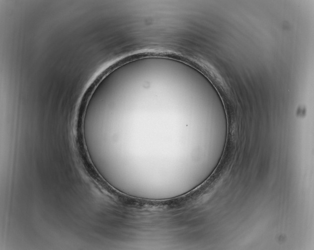 X0000102350484200808010939
