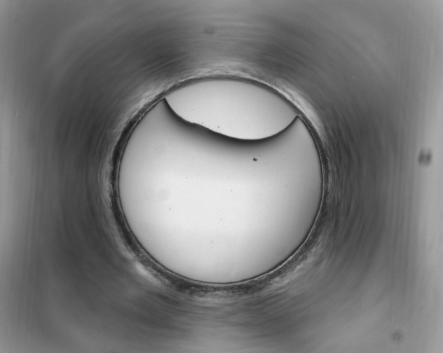 X0000102350485200808010939