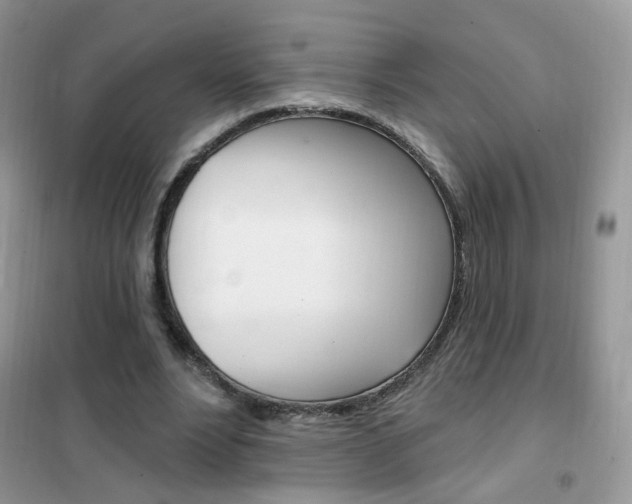 X0000102350488200808010939
