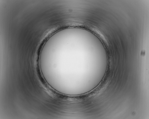 X0000102350490200808010939