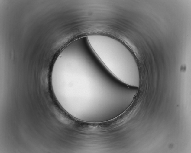 X0000102350493200808010939