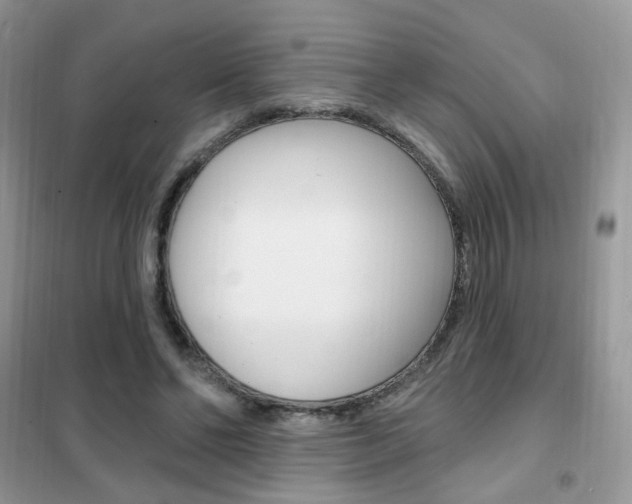 X0000102350494200808010939