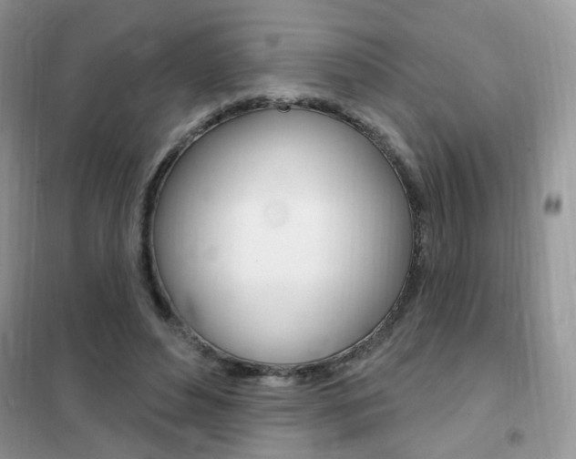 X0000102350496200808010939