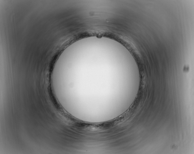 X0000102350498200808010939