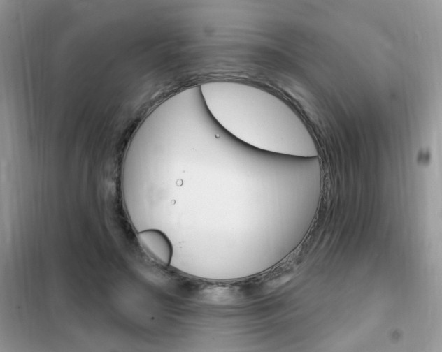 X0000102350499200808010939