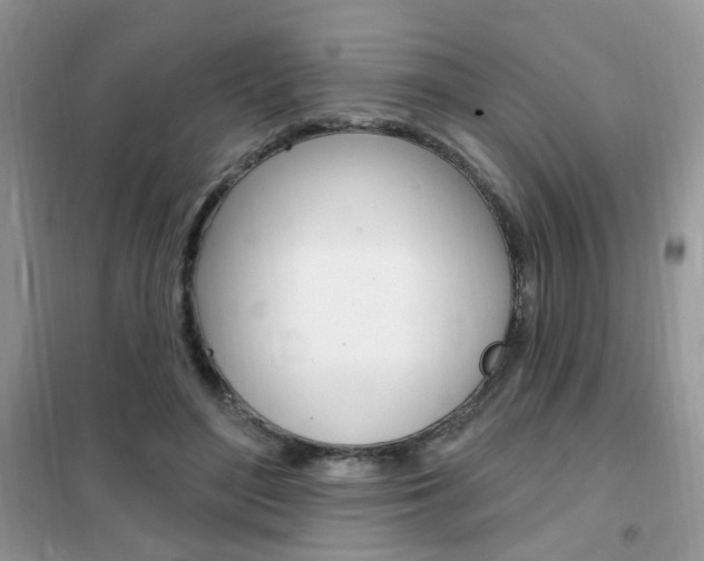 X0000102350500200808010939
