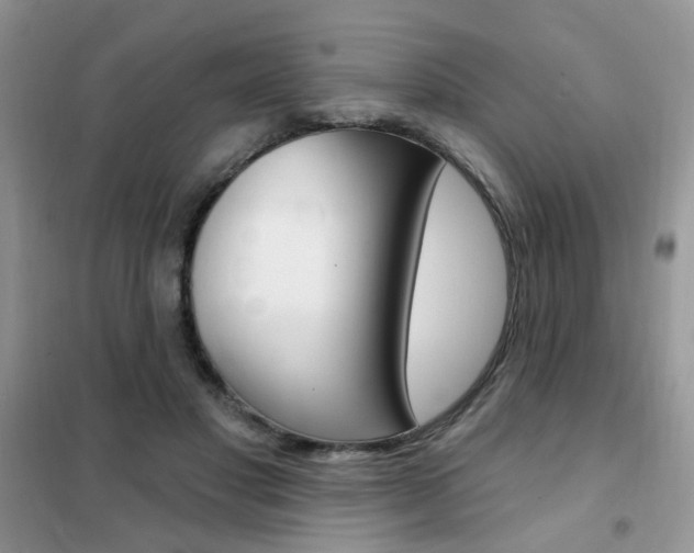 X0000102350501200808010939