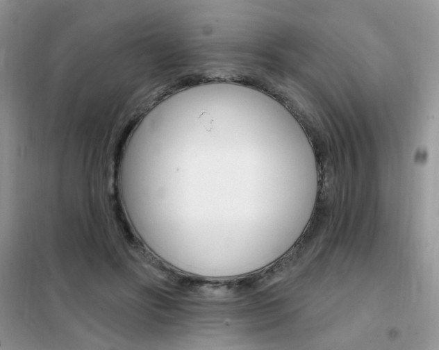 X0000102350502200808010939