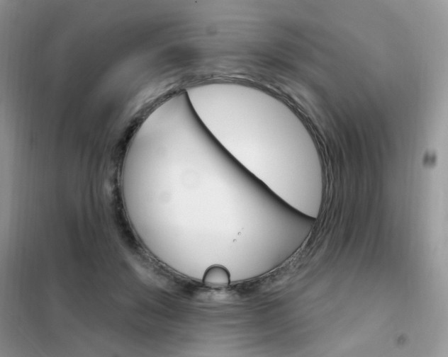 X0000102350503200808010939