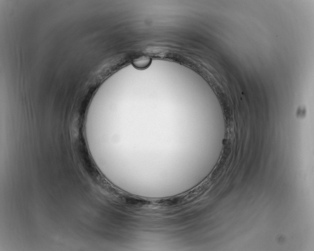 X0000102350504200808010939