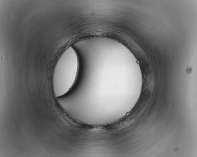 X0000102350505200808010939