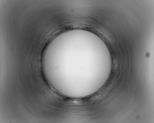 X0000102350506200808010939
