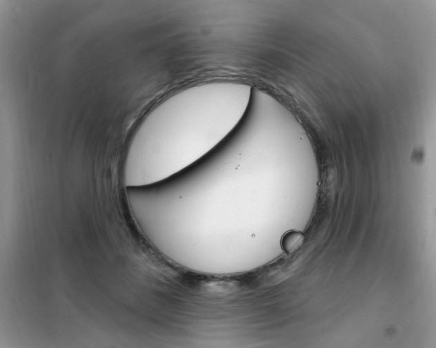 X0000102350508200808010939