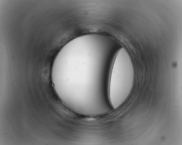 X0000102350509200808010939