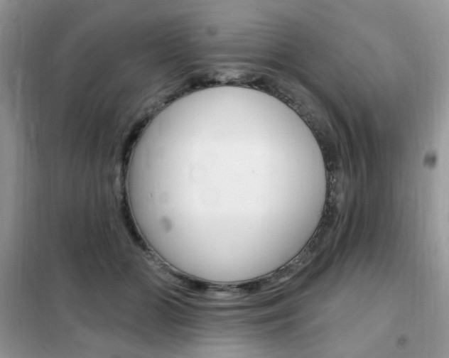 X0000102350510200808010939
