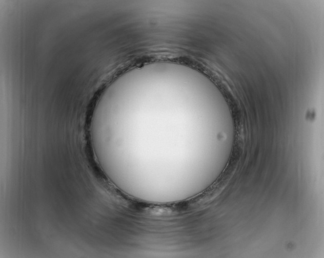 X0000102350512200808010939