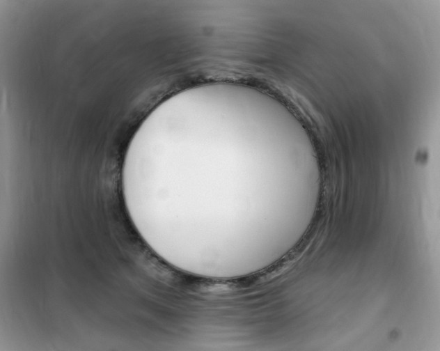X0000102350513200808010939