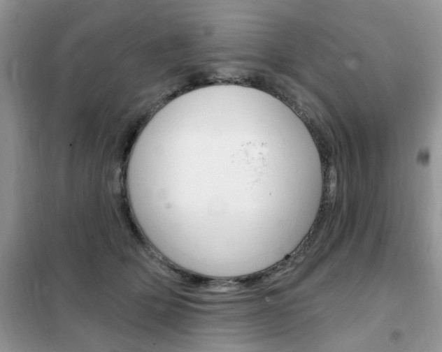 X0000102350514200808010938