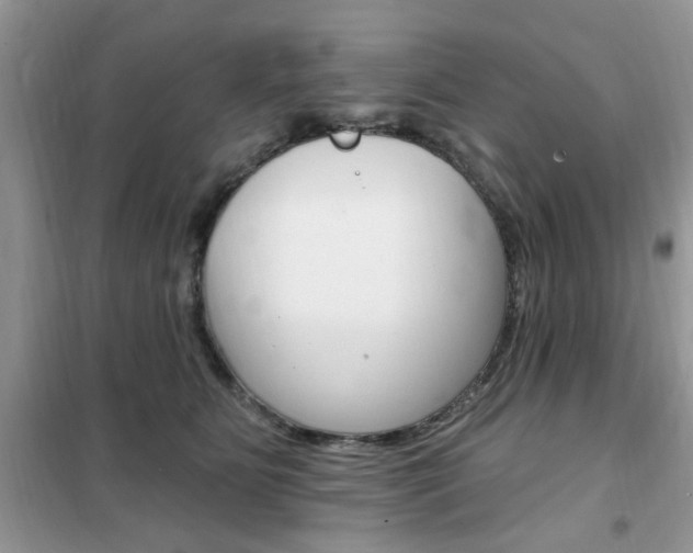 X0000102350515200808010938