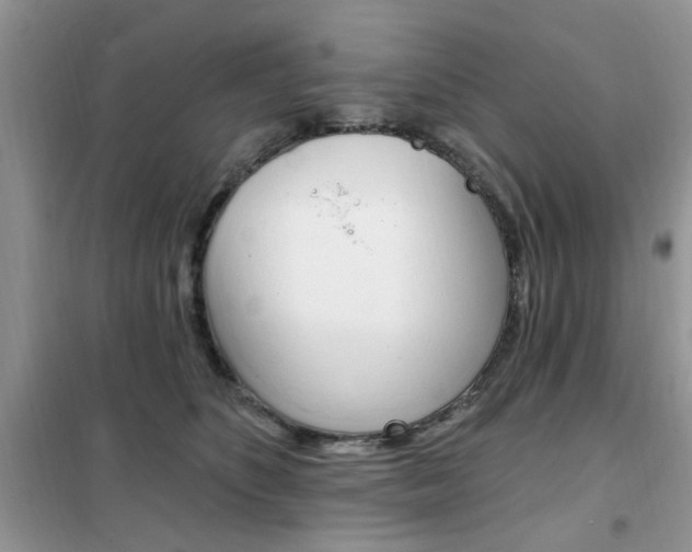 X0000102350516200808010938