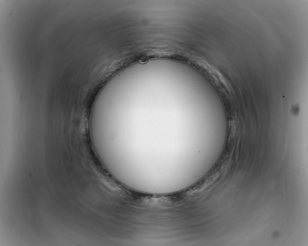 X0000102350517200808010938