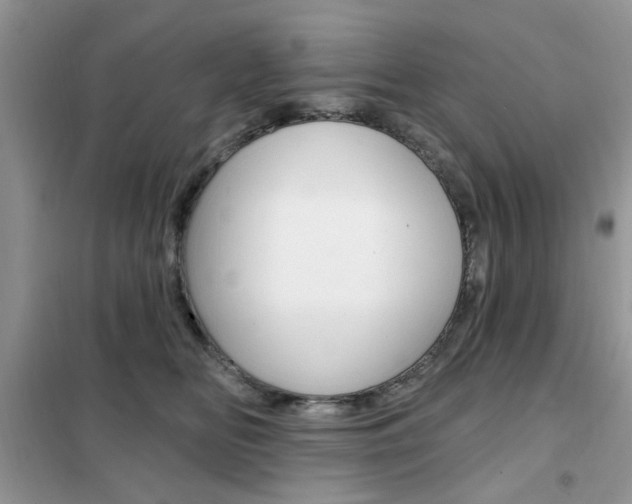 X0000102350518200808010938
