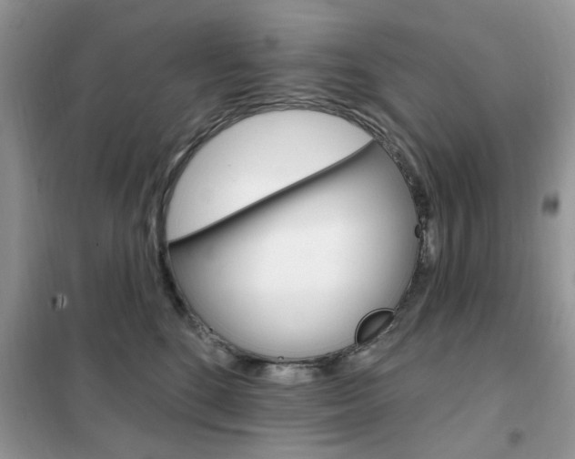 X0000102350520200808010938