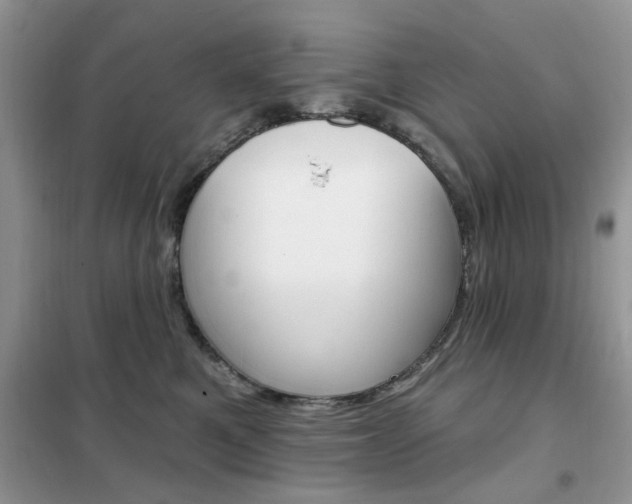 X0000102350521200808010938