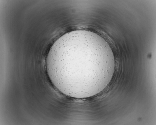 X0000102350523200808010938