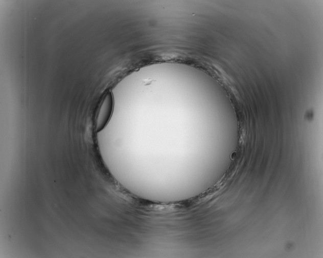 X0000102350524200808010938