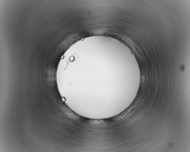 X0000102350525200808010938