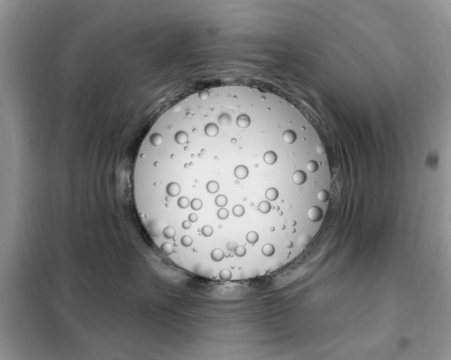 X0000102350527200808010938