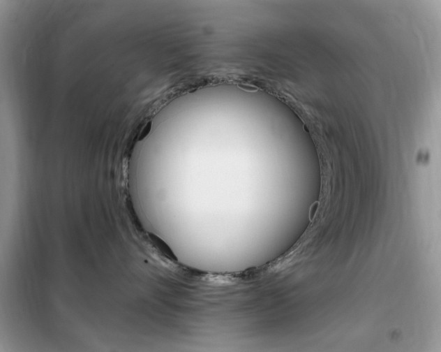 X0000102350528200808010938