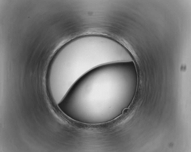 X0000102350530200808010938